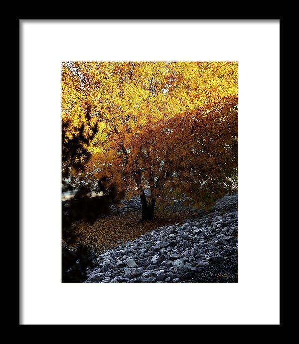 December in Arizona - Framed Print