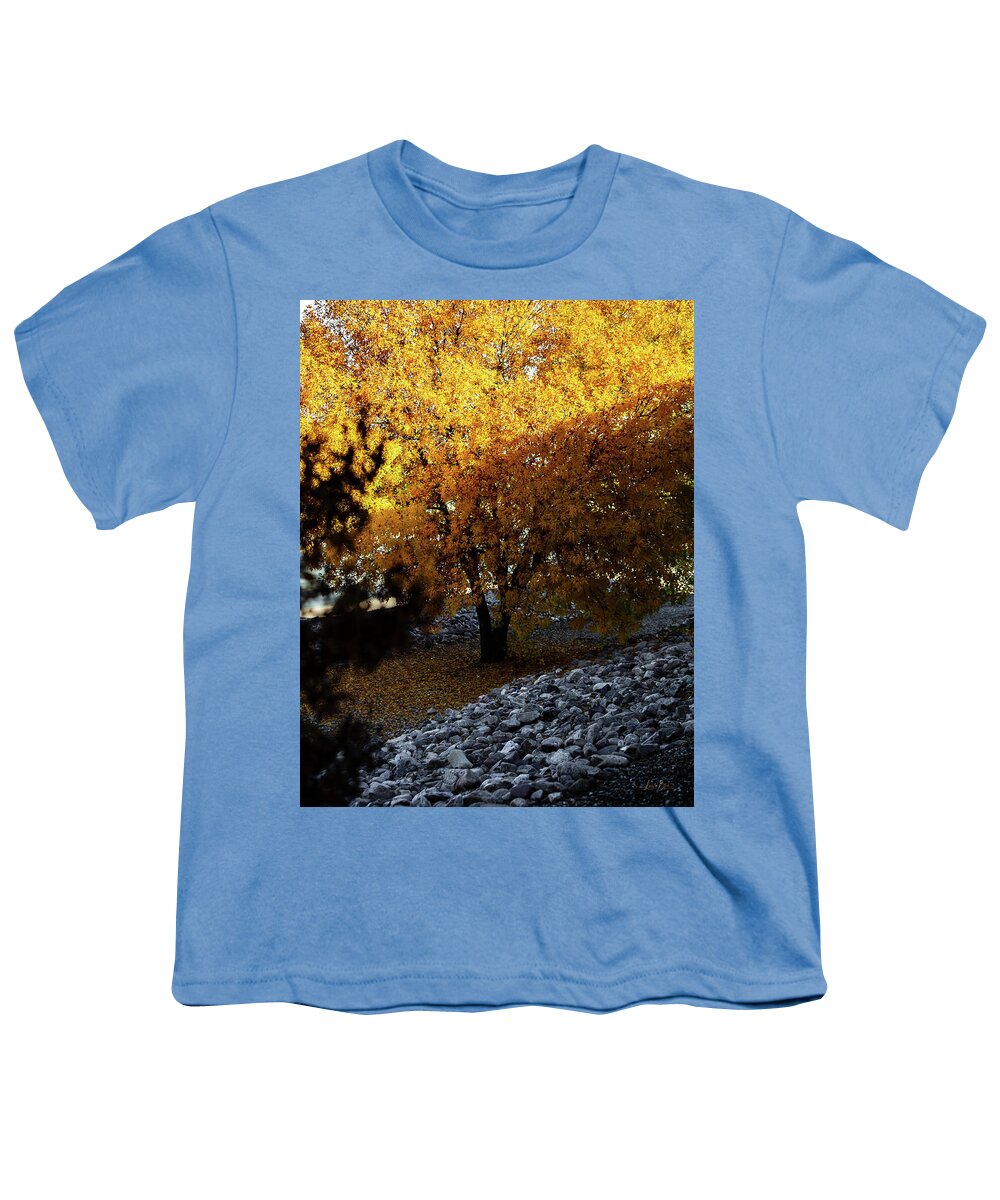 December in Arizona - Youth T-Shirt