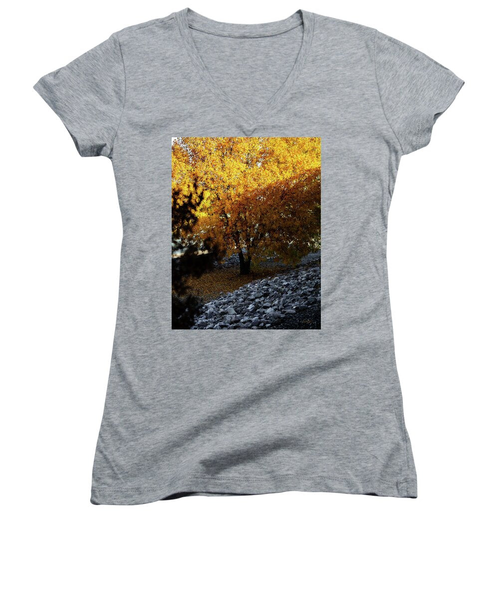 December in Arizona - Women's V-Neck