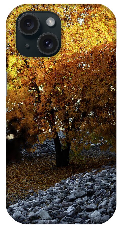 December in Arizona - Phone Case