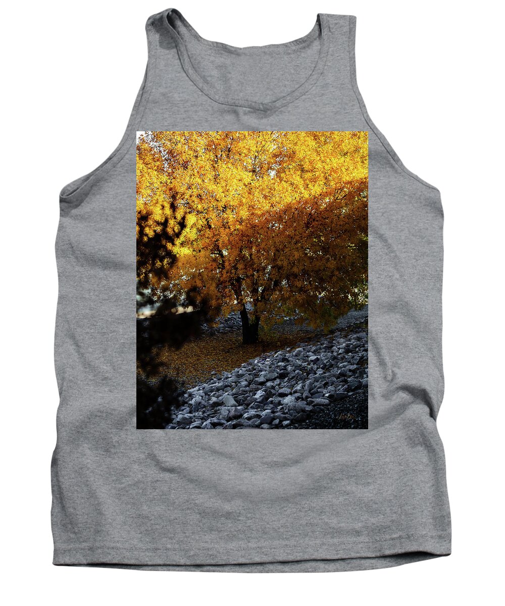 December in Arizona - Tank Top