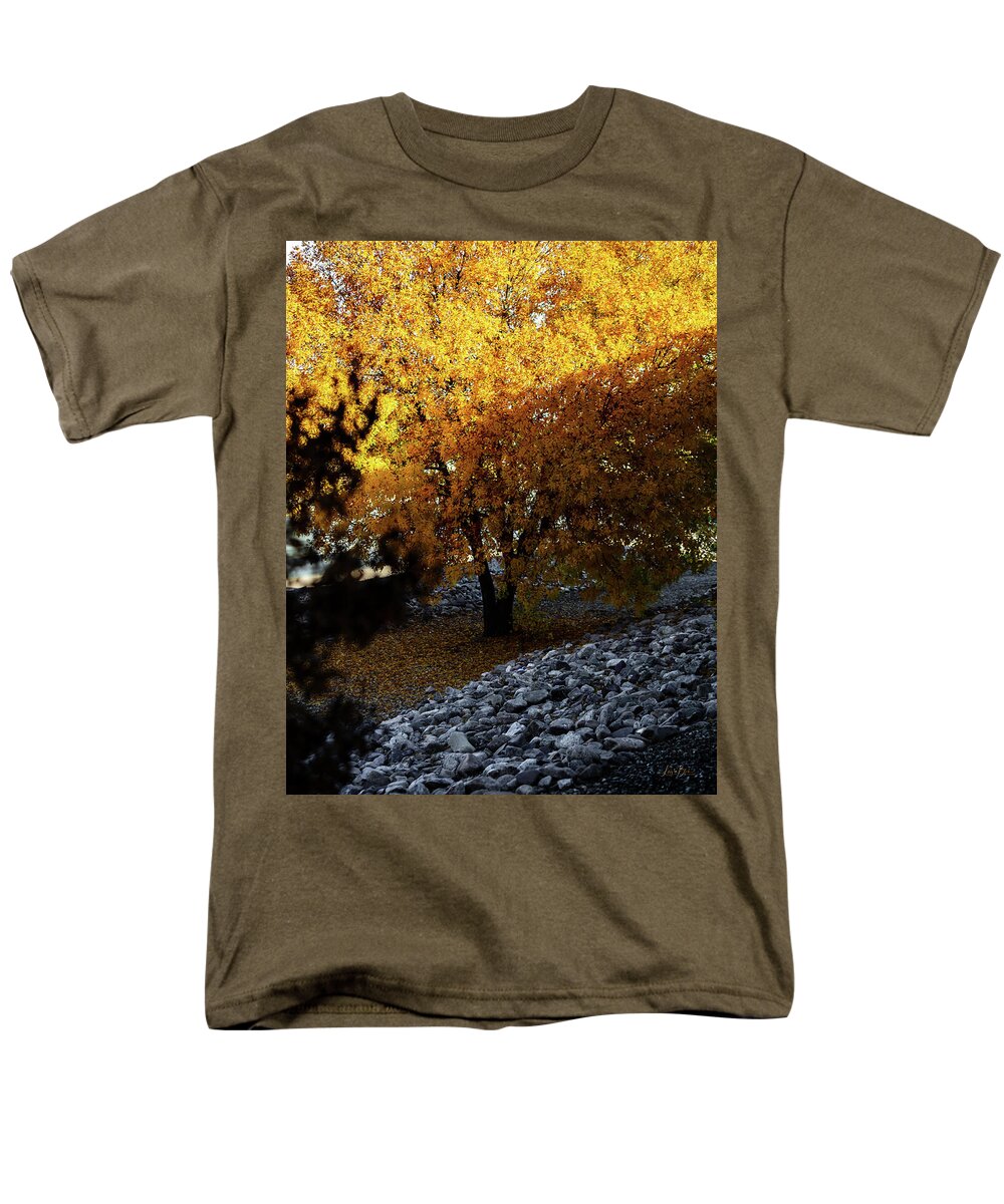 December in Arizona - Men's T-Shirt  (Regular Fit)