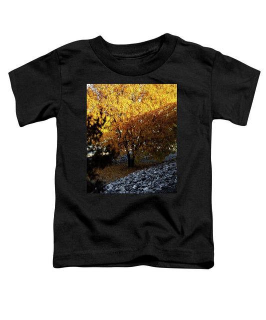 December in Arizona - Toddler T-Shirt