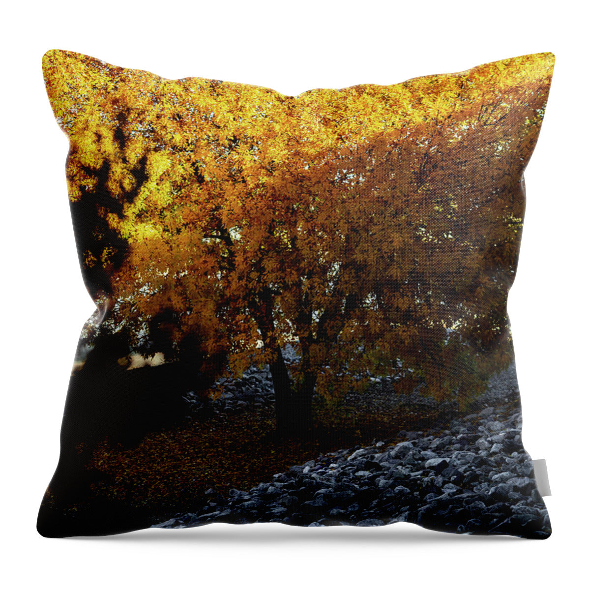 December in Arizona - Throw Pillow