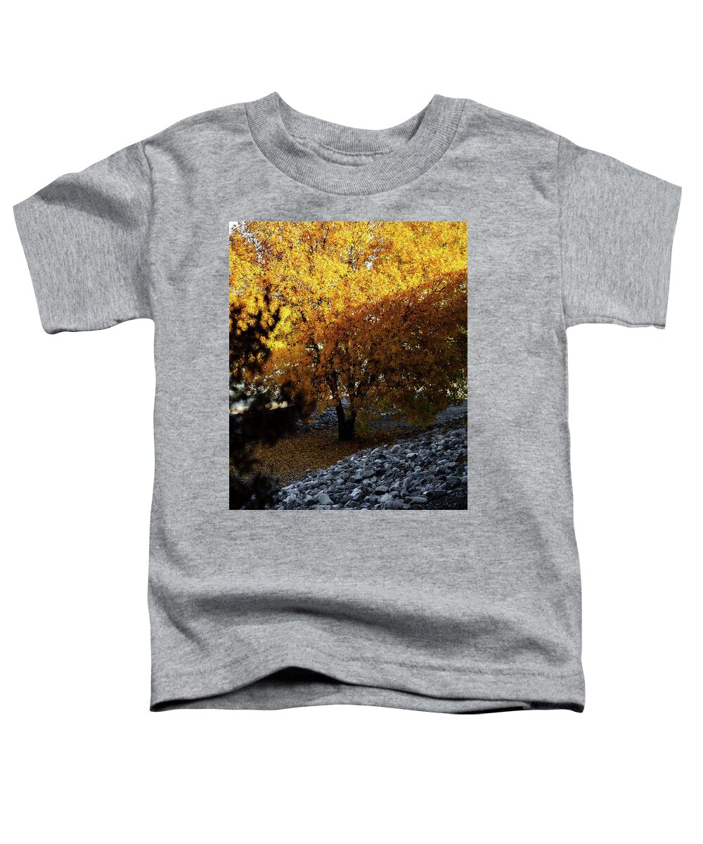 December in Arizona - Toddler T-Shirt