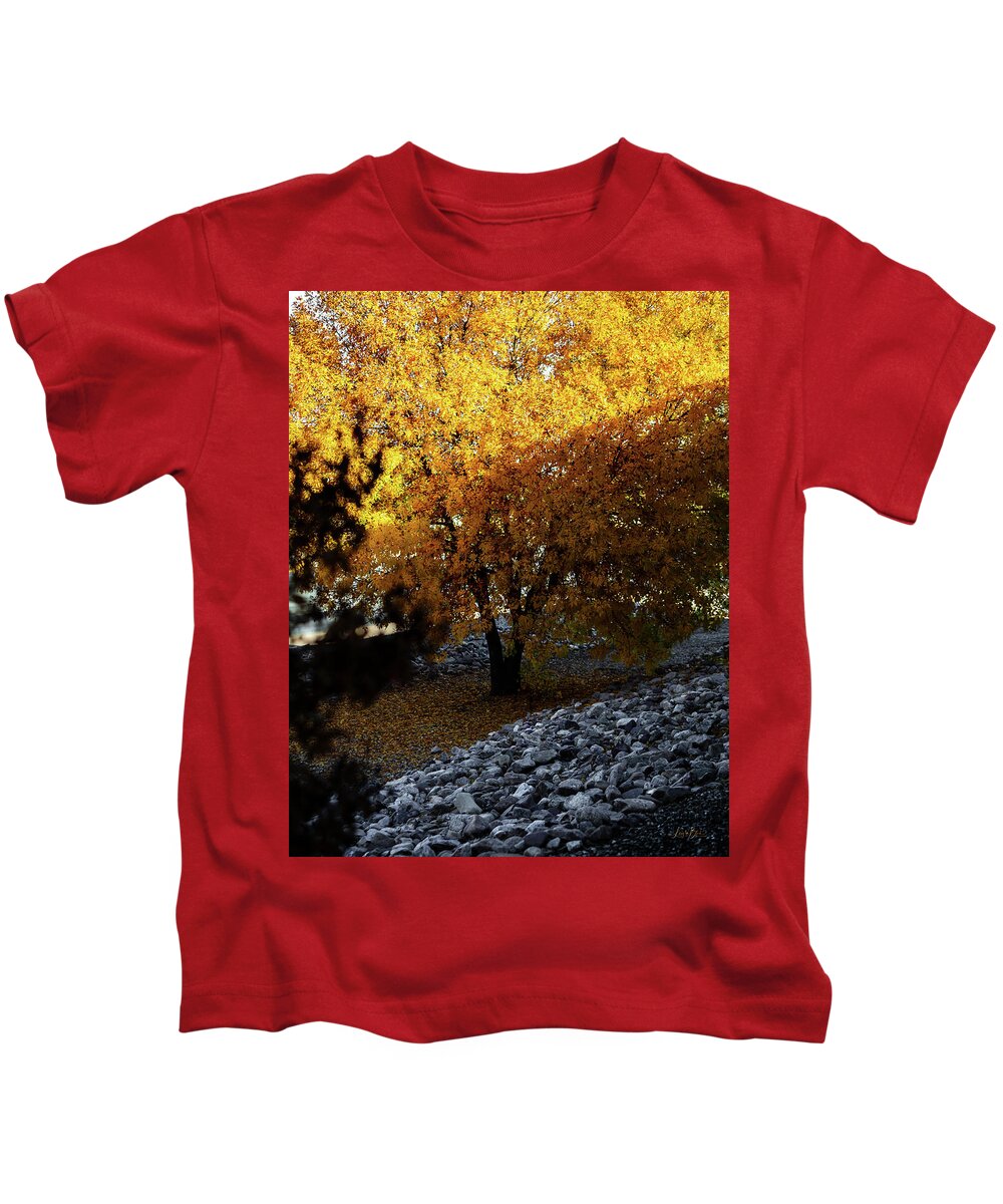 December in Arizona - Kids T-Shirt