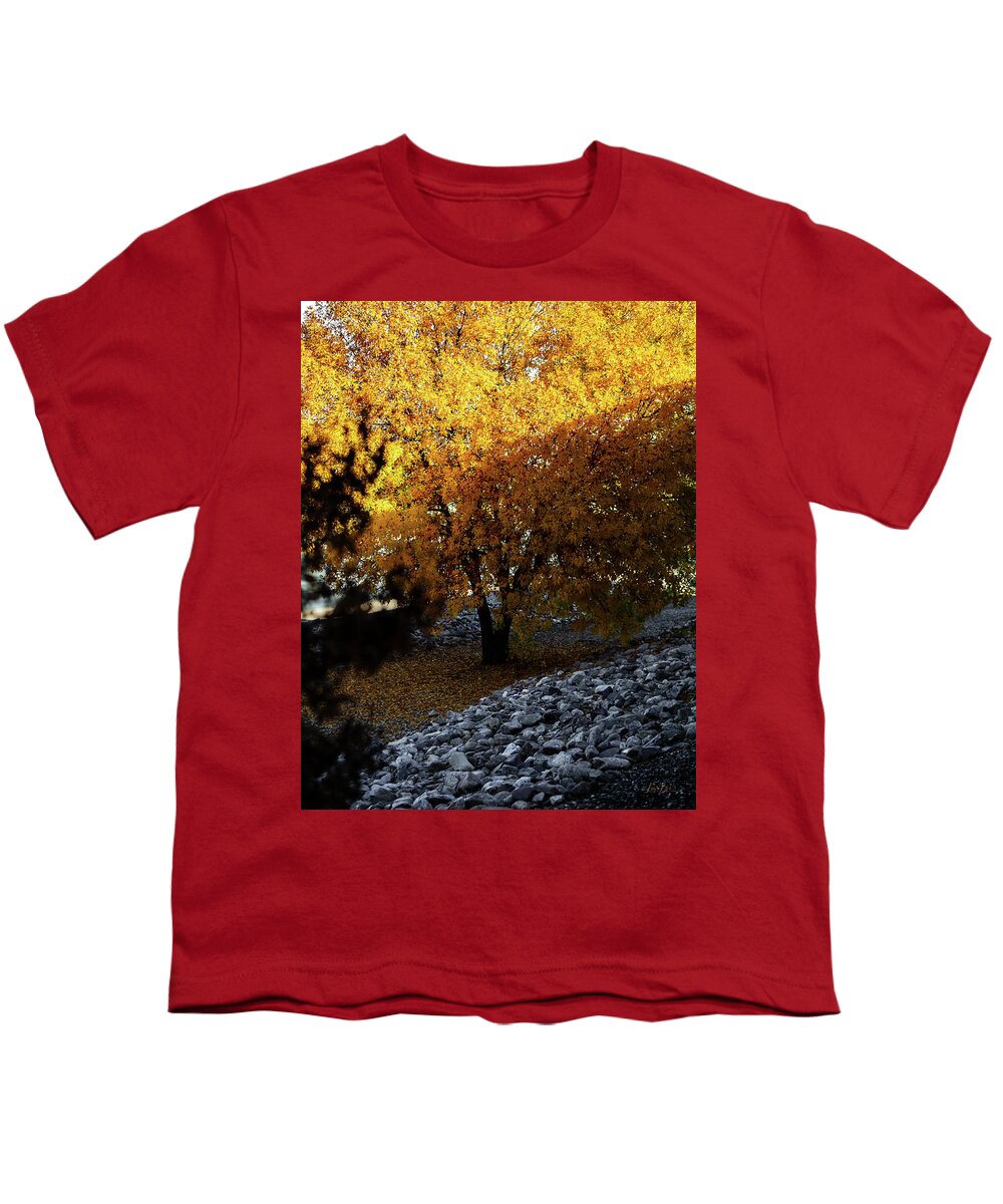 December in Arizona - Youth T-Shirt