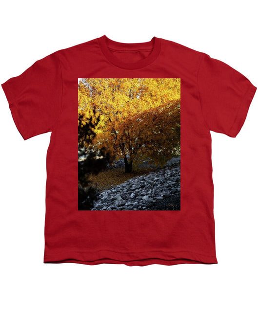 December in Arizona - Youth T-Shirt