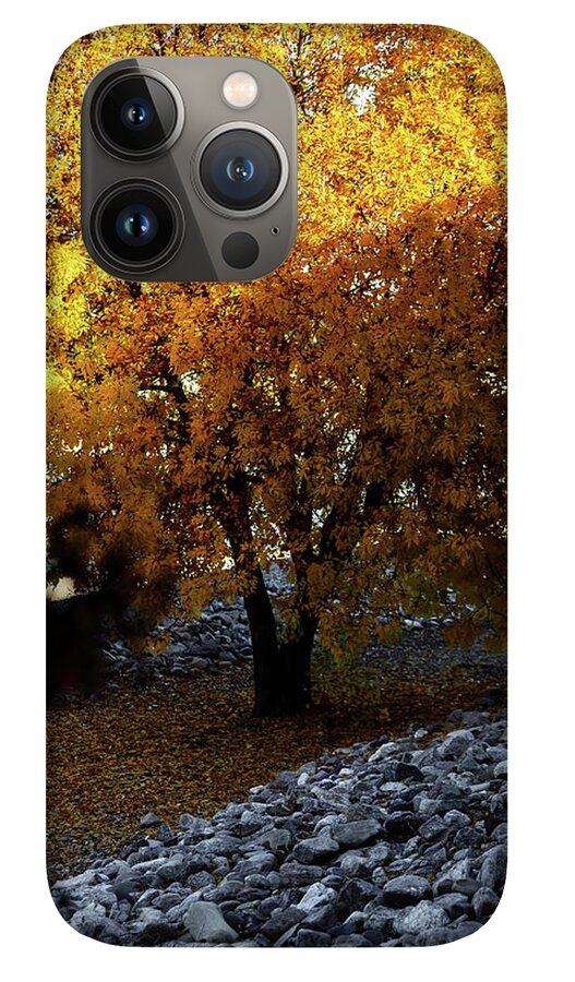 December in Arizona - Phone Case