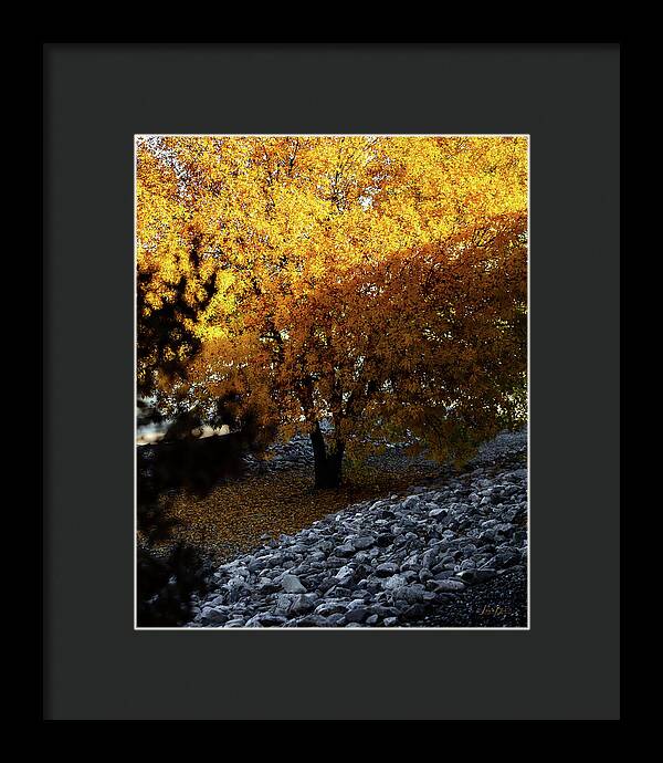 December in Arizona - Framed Print