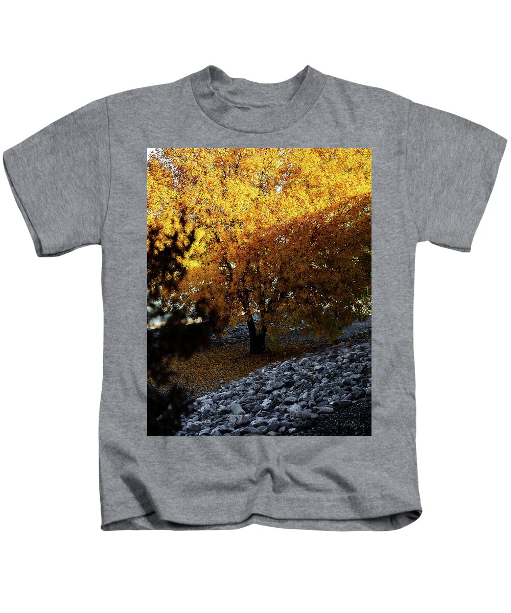 December in Arizona - Kids T-Shirt