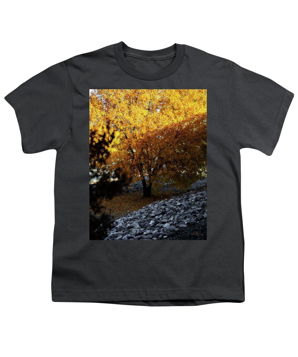 December in Arizona - Youth T-Shirt