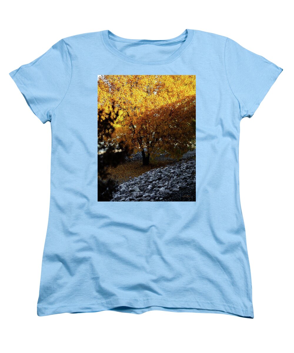 December in Arizona - Women's T-Shirt (Standard Fit)