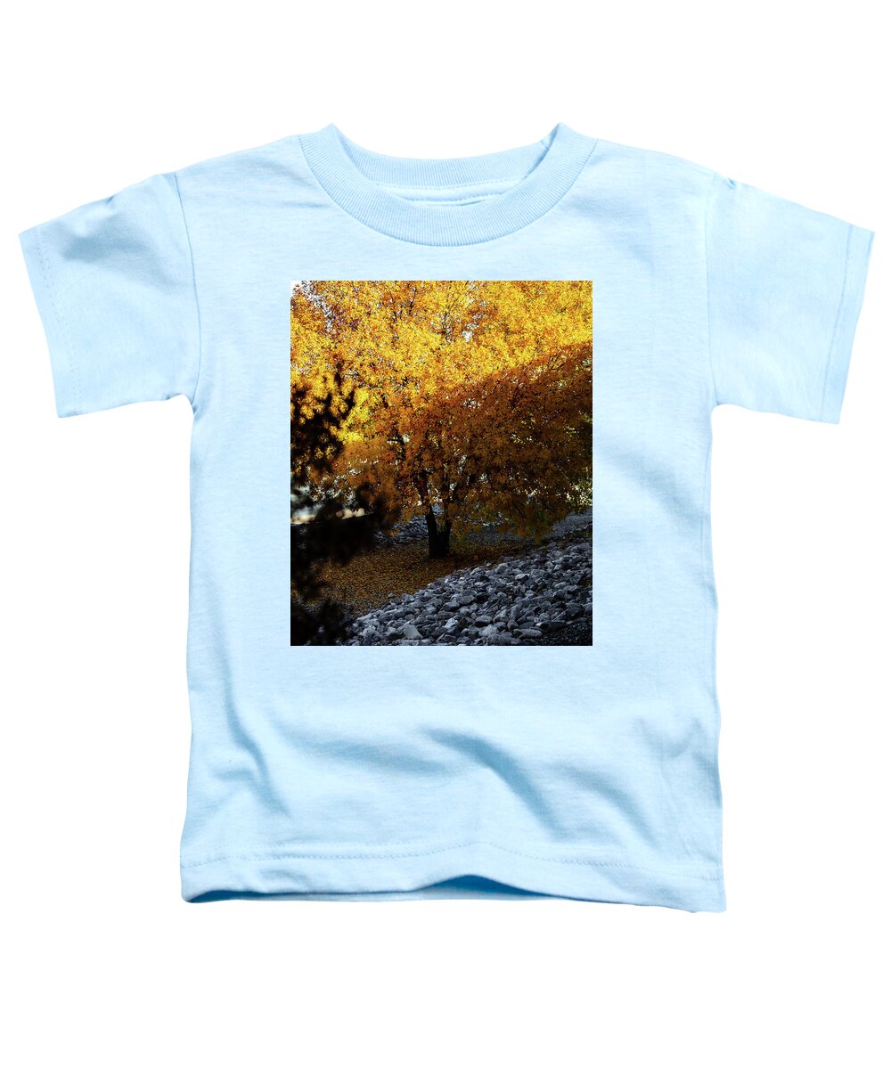 December in Arizona - Toddler T-Shirt