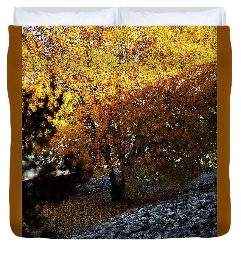 December in Arizona - Duvet Cover