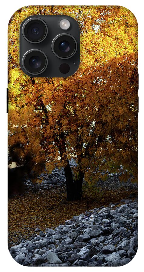 December in Arizona - Phone Case