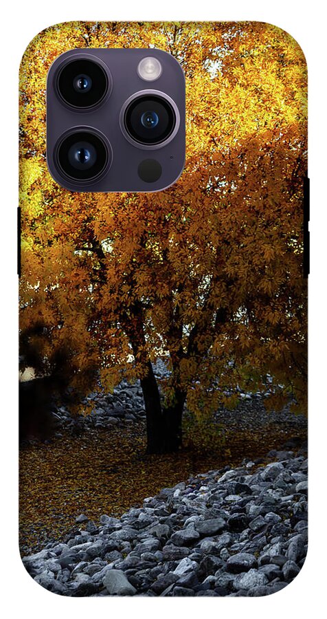 December in Arizona - Phone Case