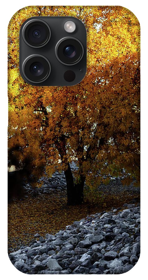 December in Arizona - Phone Case