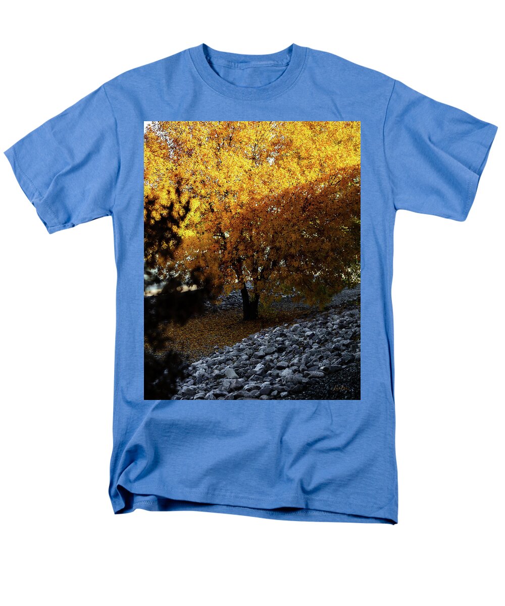December in Arizona - Men's T-Shirt  (Regular Fit)