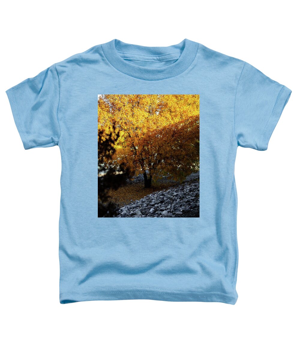 December in Arizona - Toddler T-Shirt