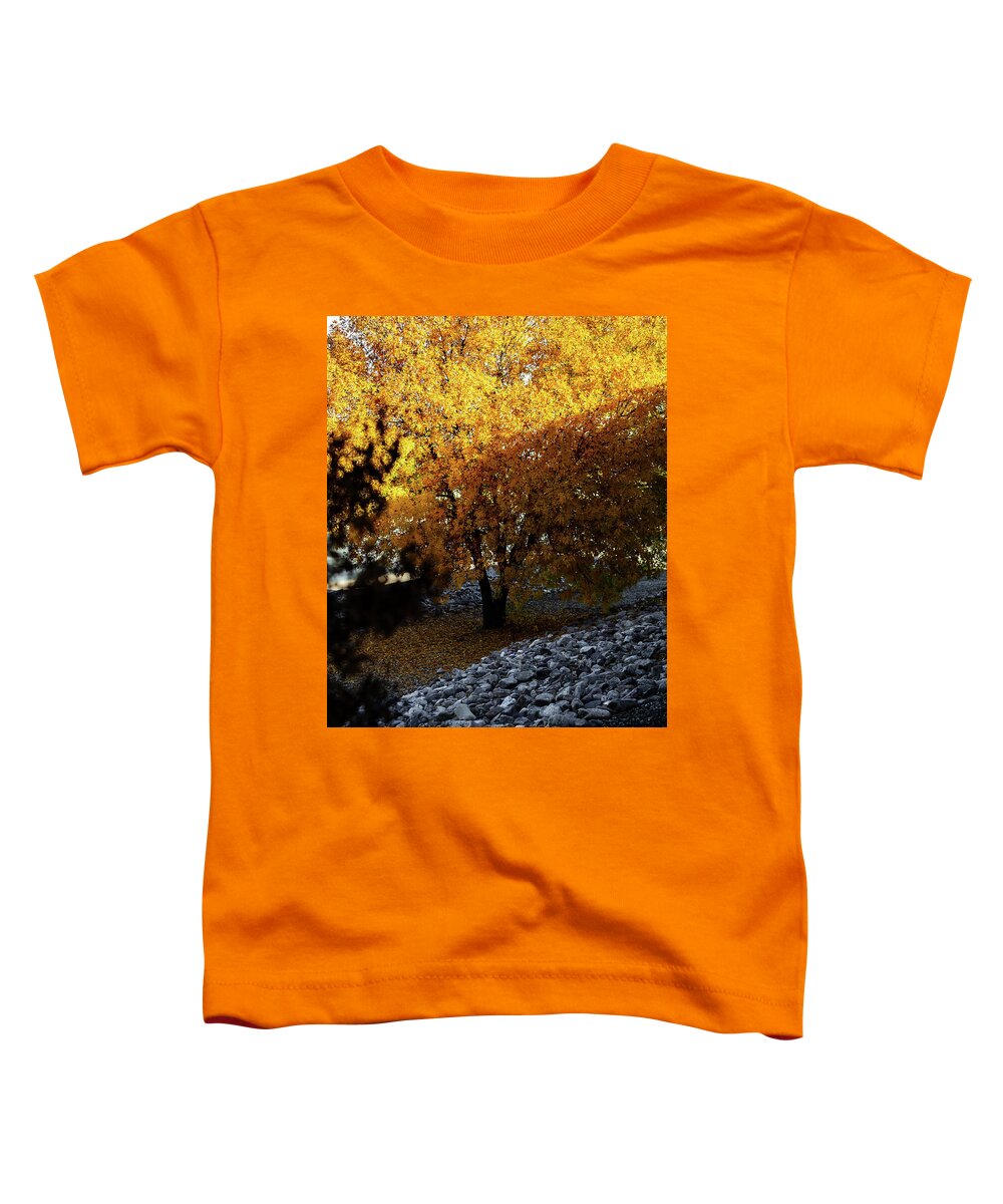 December in Arizona - Toddler T-Shirt