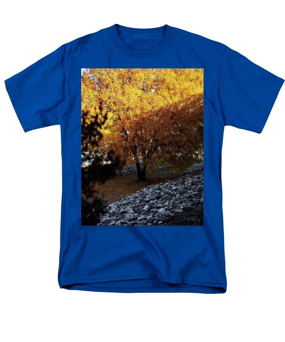 December in Arizona - Men's T-Shirt  (Regular Fit)