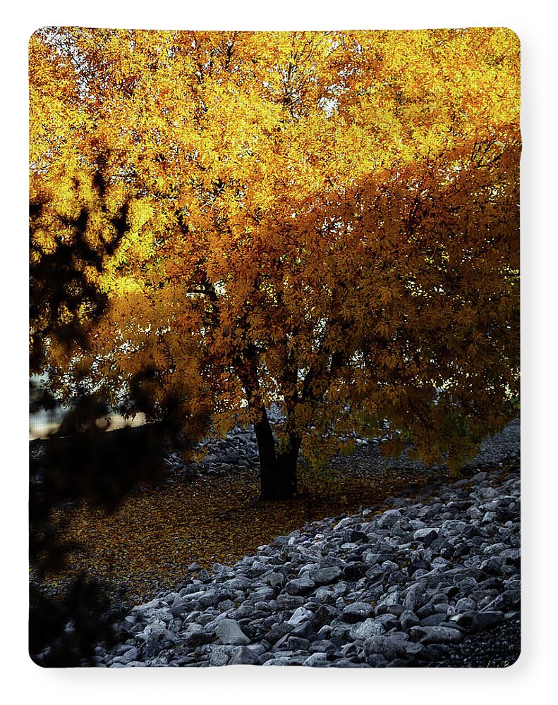 December in Arizona - Blanket