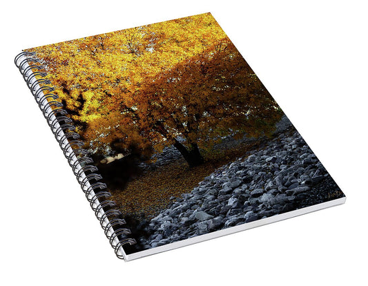 December in Arizona - Spiral Notebook