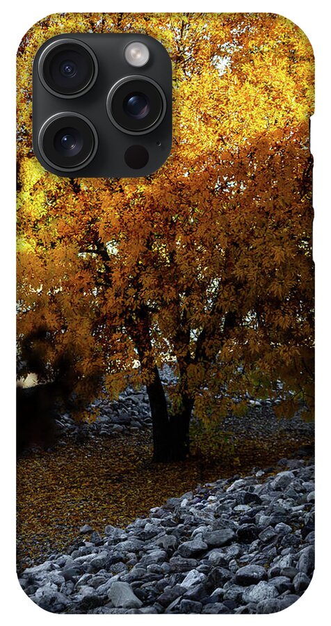 December in Arizona - Phone Case