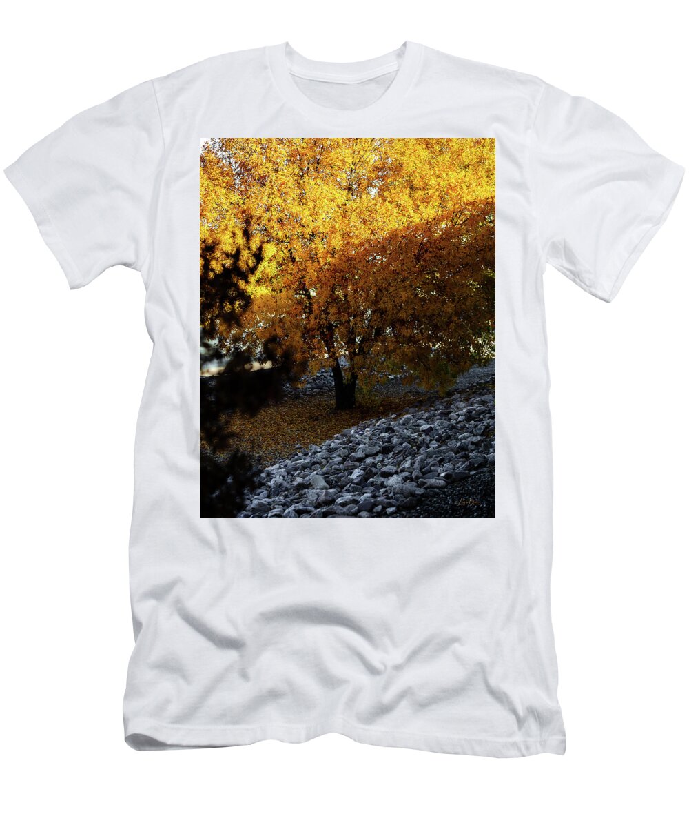 December in Arizona - T-Shirt