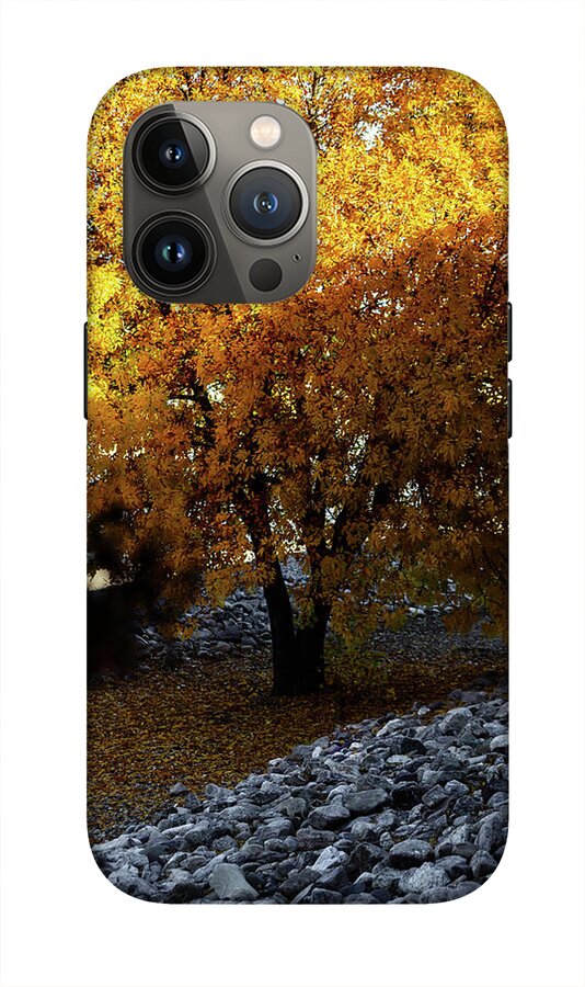 December in Arizona - Phone Case