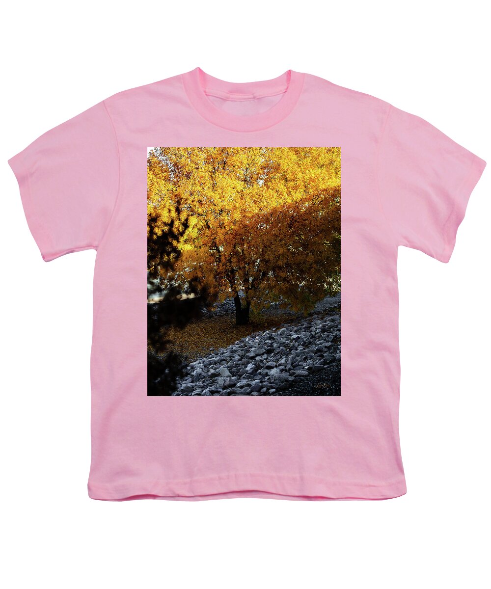 December in Arizona - Youth T-Shirt