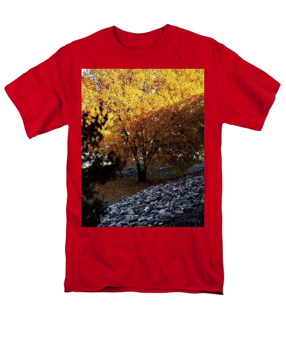 December in Arizona - Men's T-Shirt  (Regular Fit)