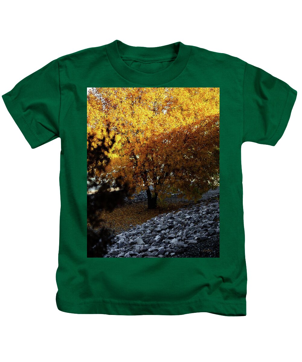 December in Arizona - Kids T-Shirt