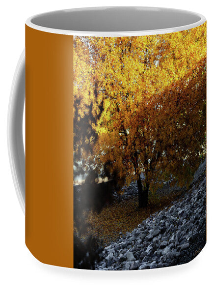 December in Arizona - Mug