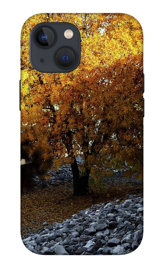 December in Arizona - Phone Case