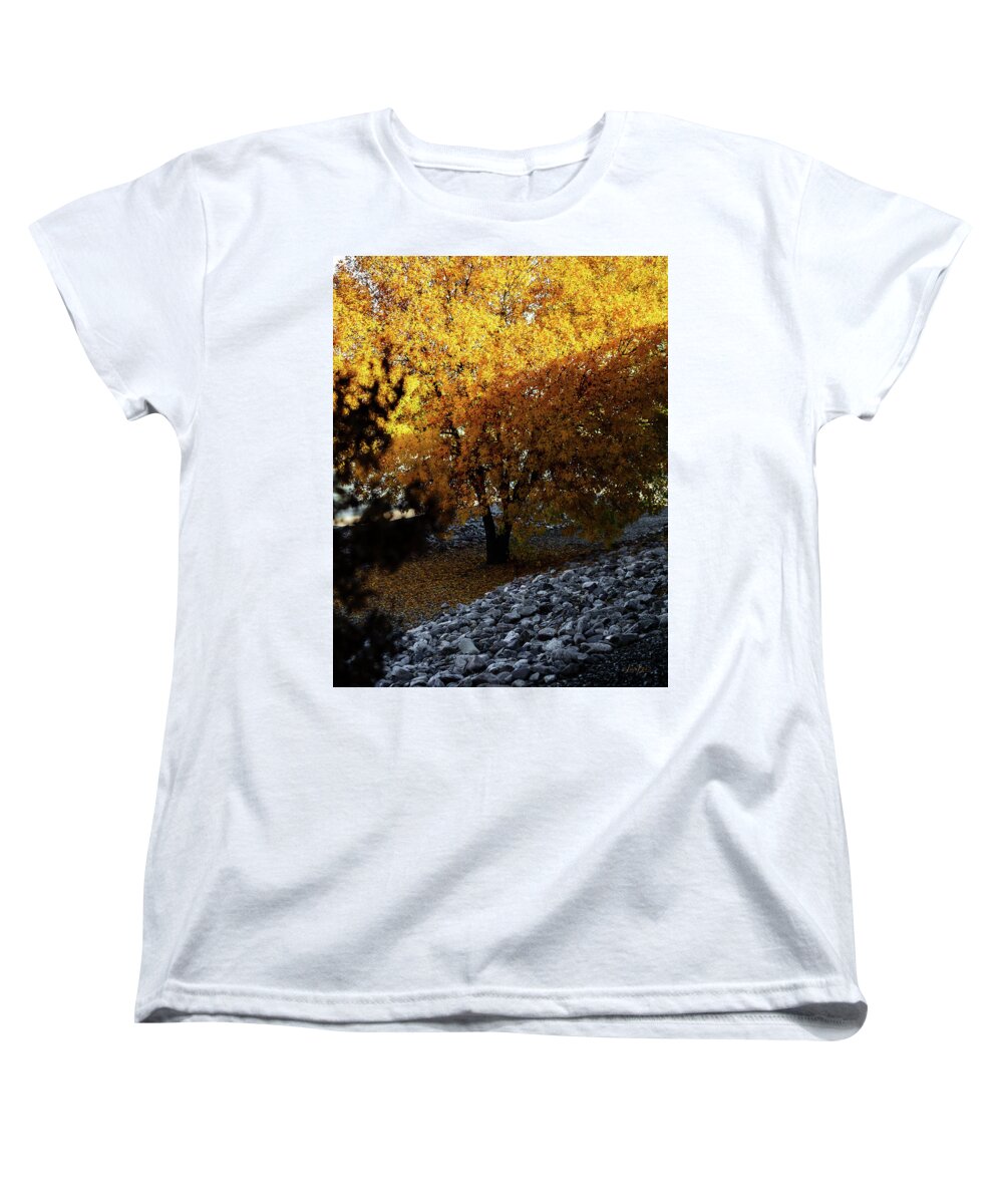 December in Arizona - Women's T-Shirt (Standard Fit)