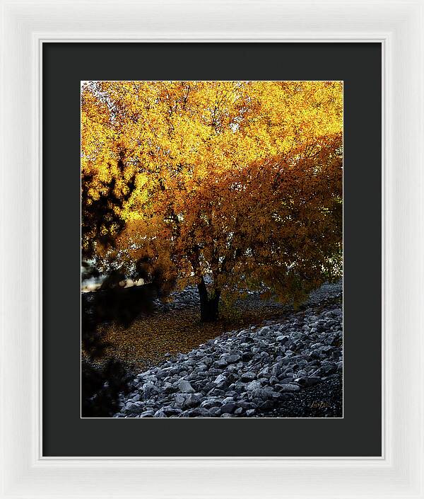 December in Arizona - Framed Print