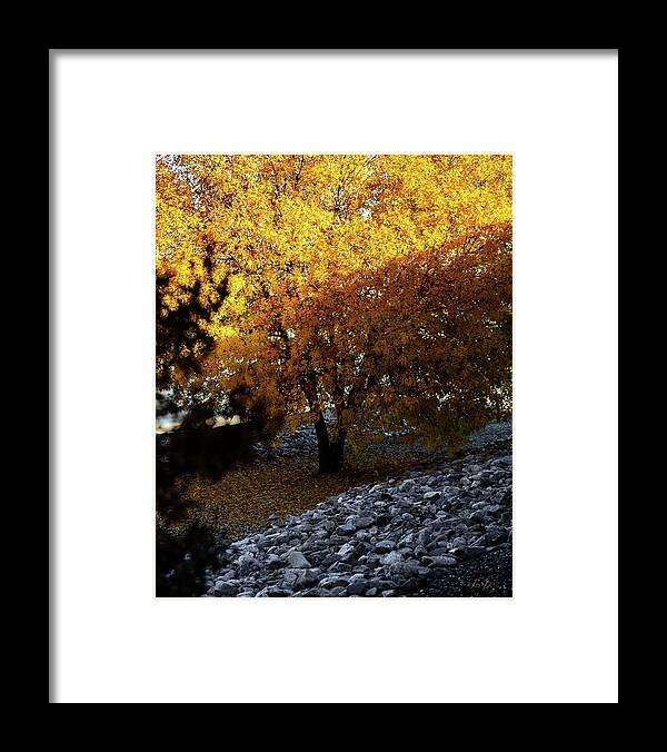 December in Arizona - Framed Print
