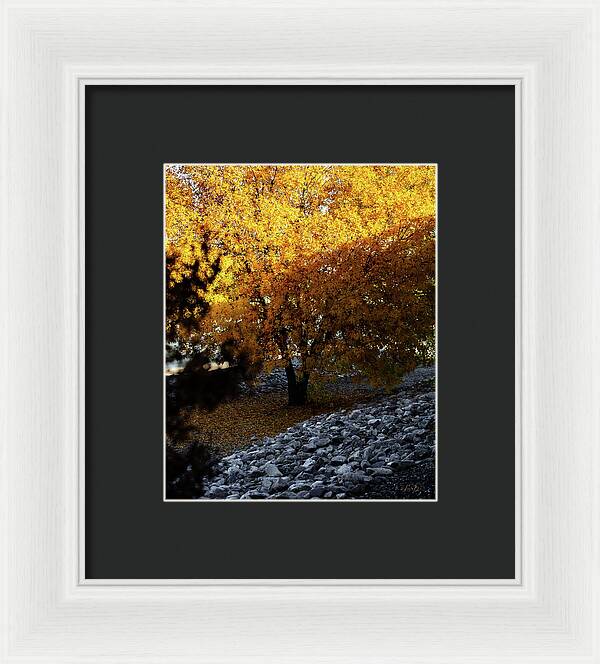 December in Arizona - Framed Print