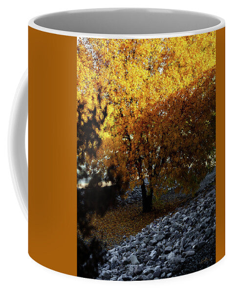 December in Arizona - Mug