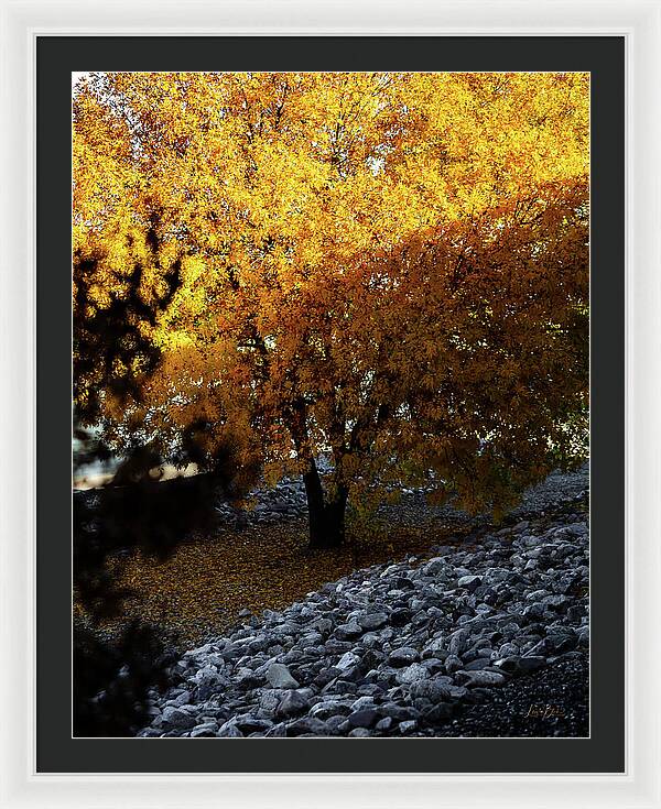 December in Arizona - Framed Print