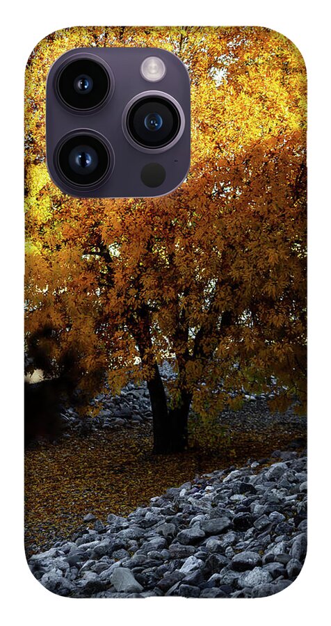 December in Arizona - Phone Case