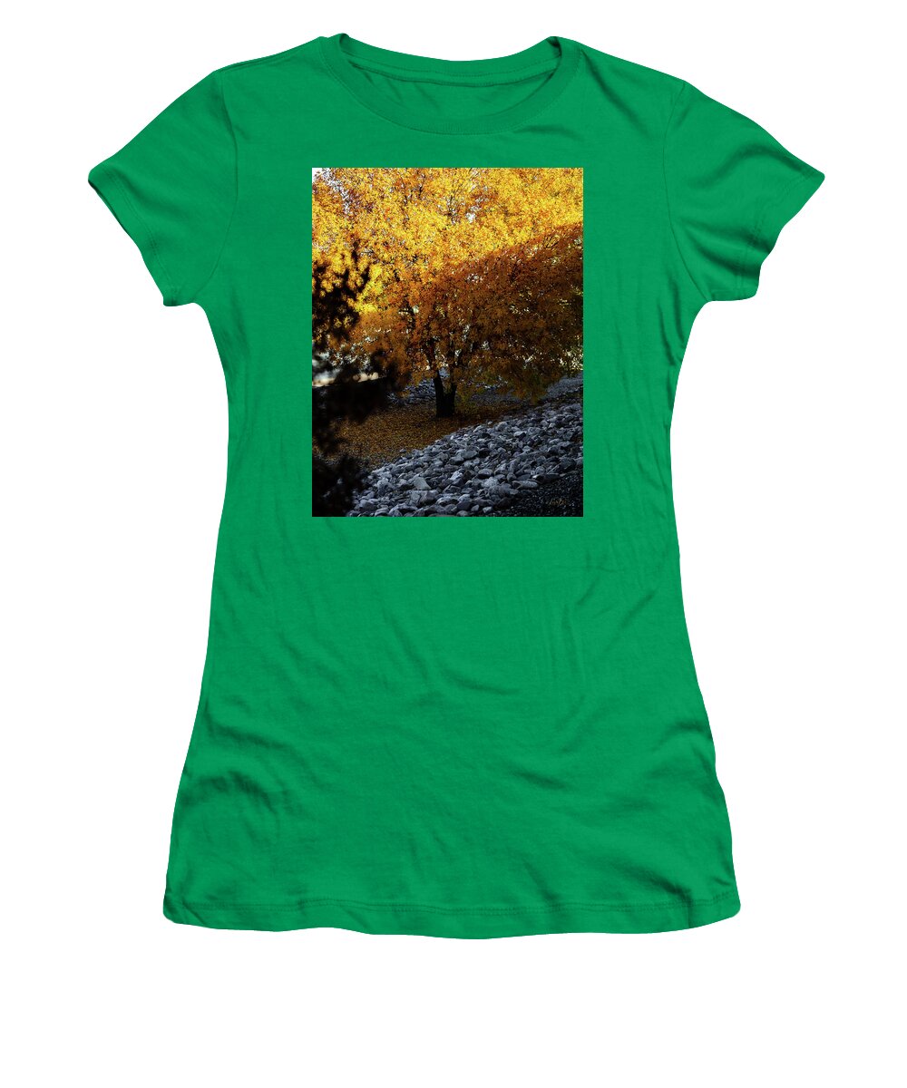 December in Arizona - Women's T-Shirt