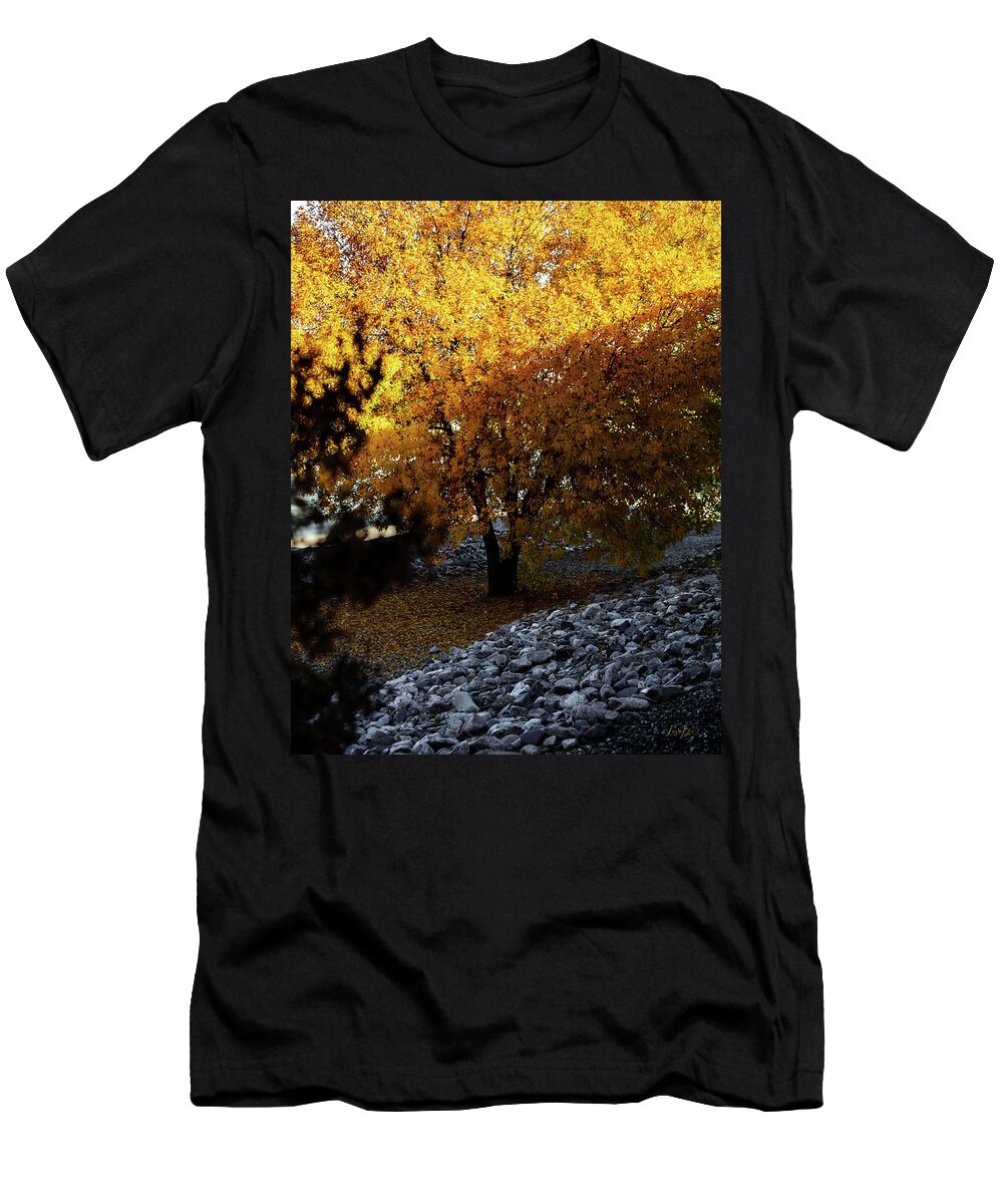 December in Arizona - T-Shirt