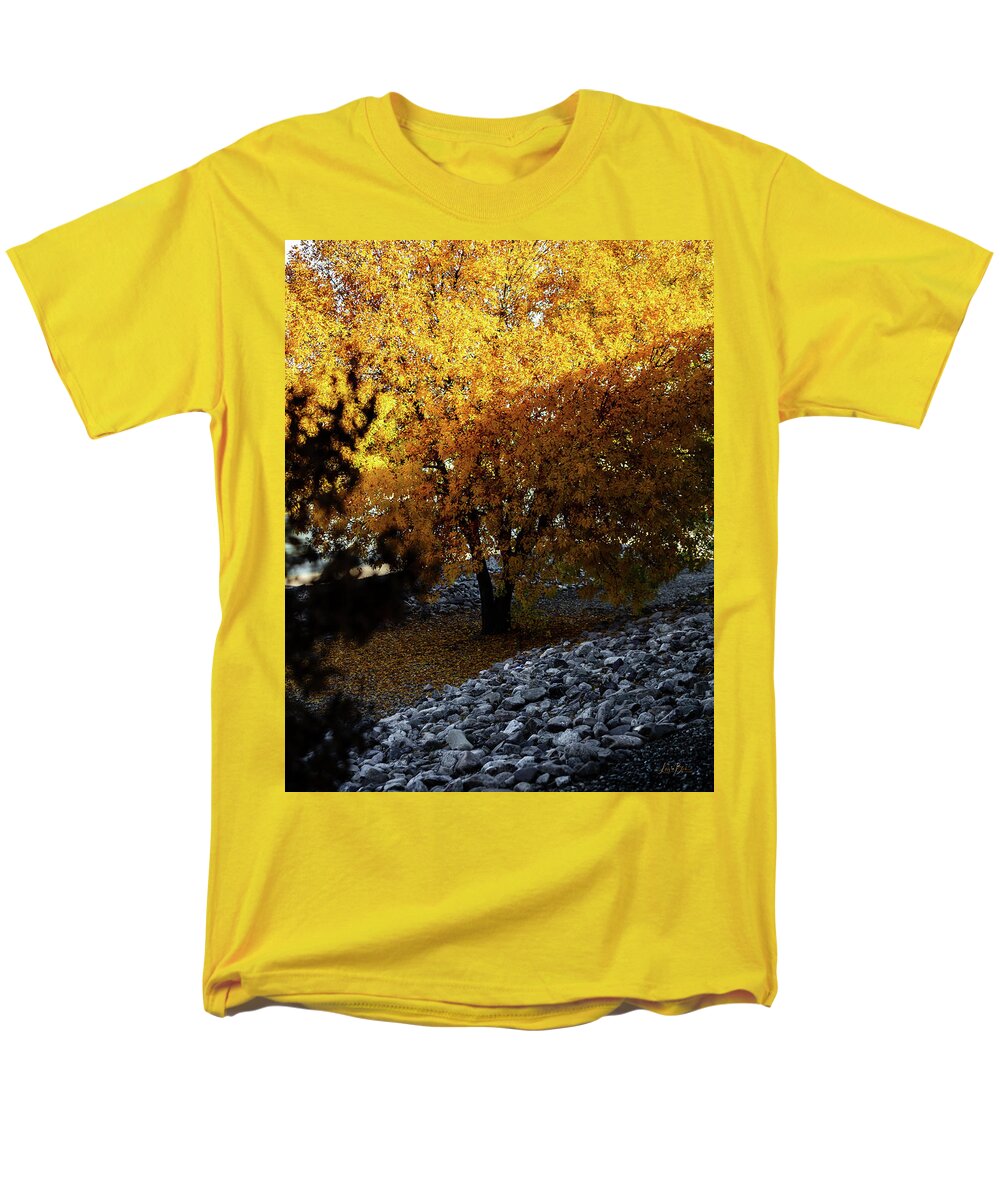 December in Arizona - Men's T-Shirt  (Regular Fit)