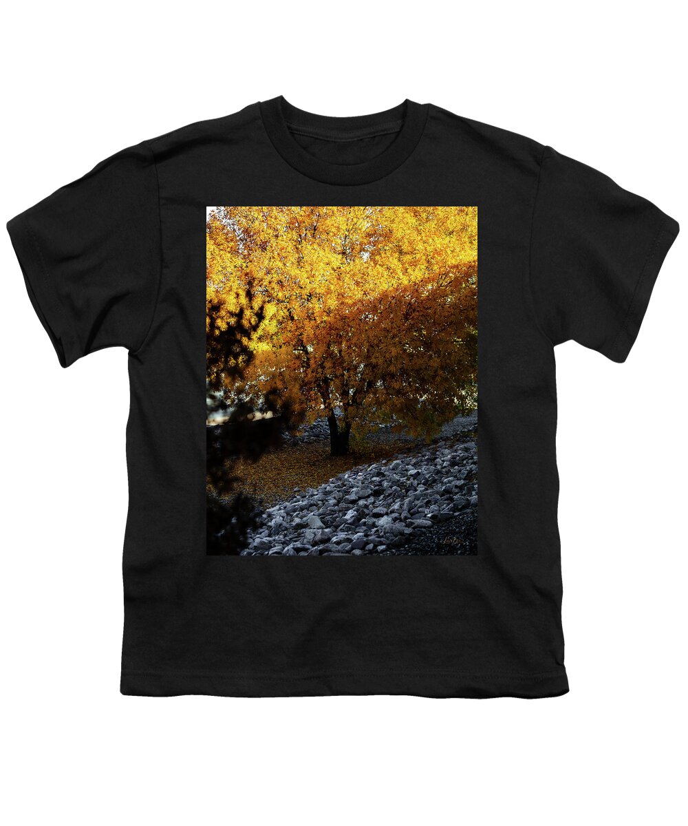 December in Arizona - Youth T-Shirt