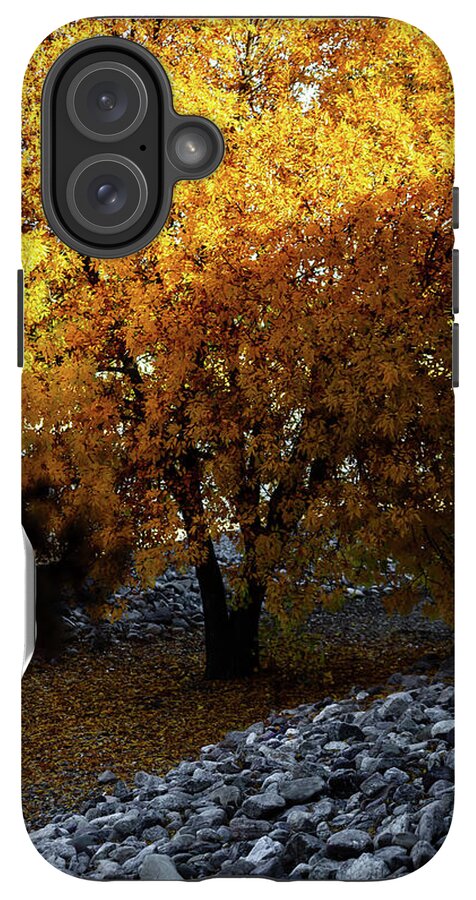 December in Arizona - Phone Case