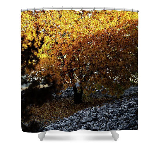 December in Arizona - Shower Curtain