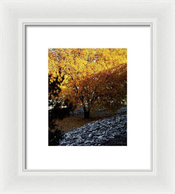 December in Arizona - Framed Print